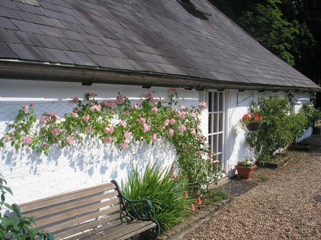 Bed and Breakfast Detling Coachhouse Maidstone Exterior foto